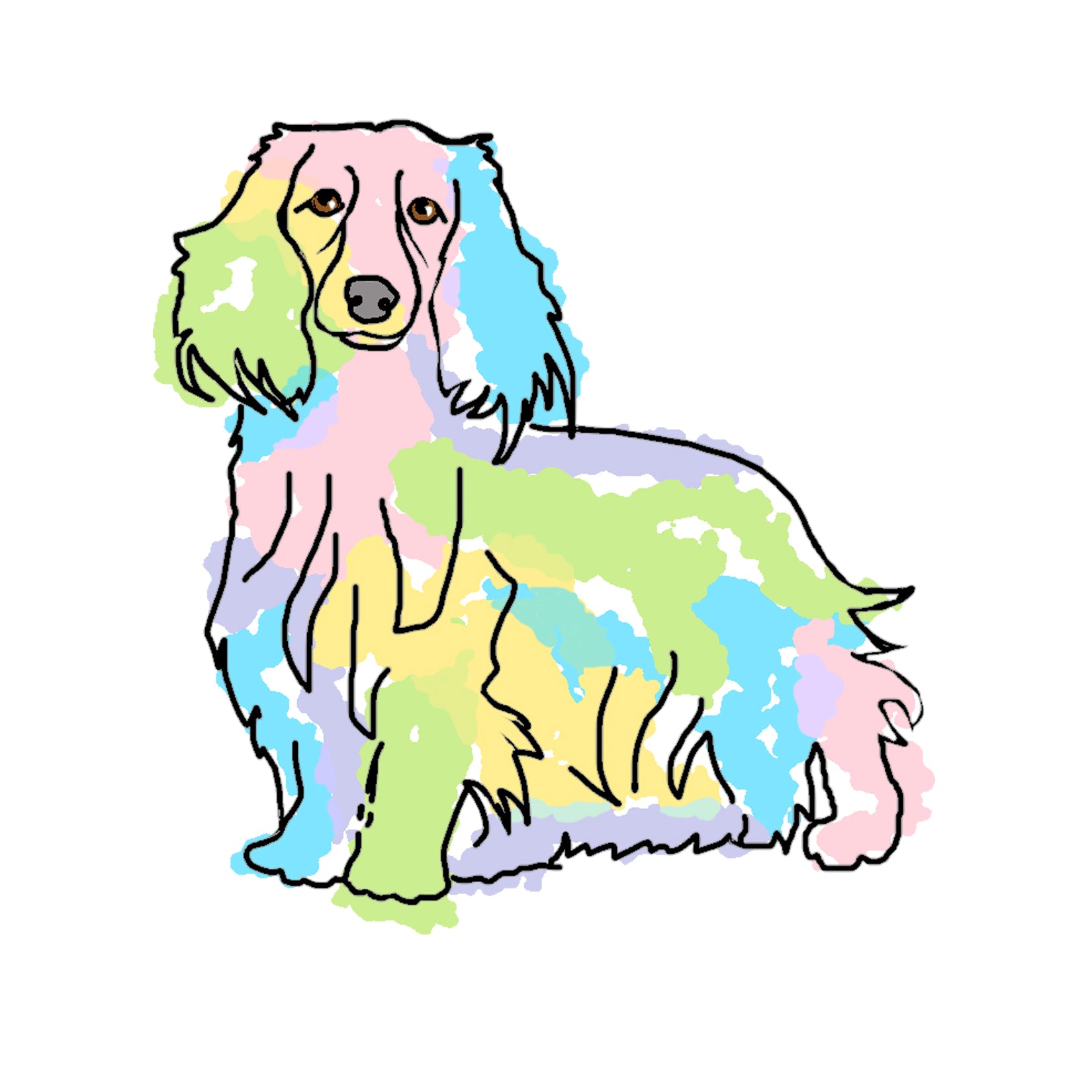 Long Haired Dachshund – Online Artisans