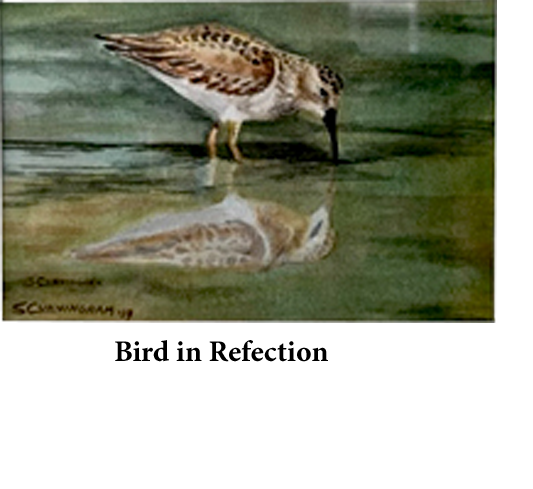 Notecards and prints by Susan Cunningham