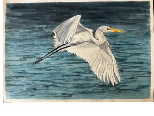 Egret Watercolor