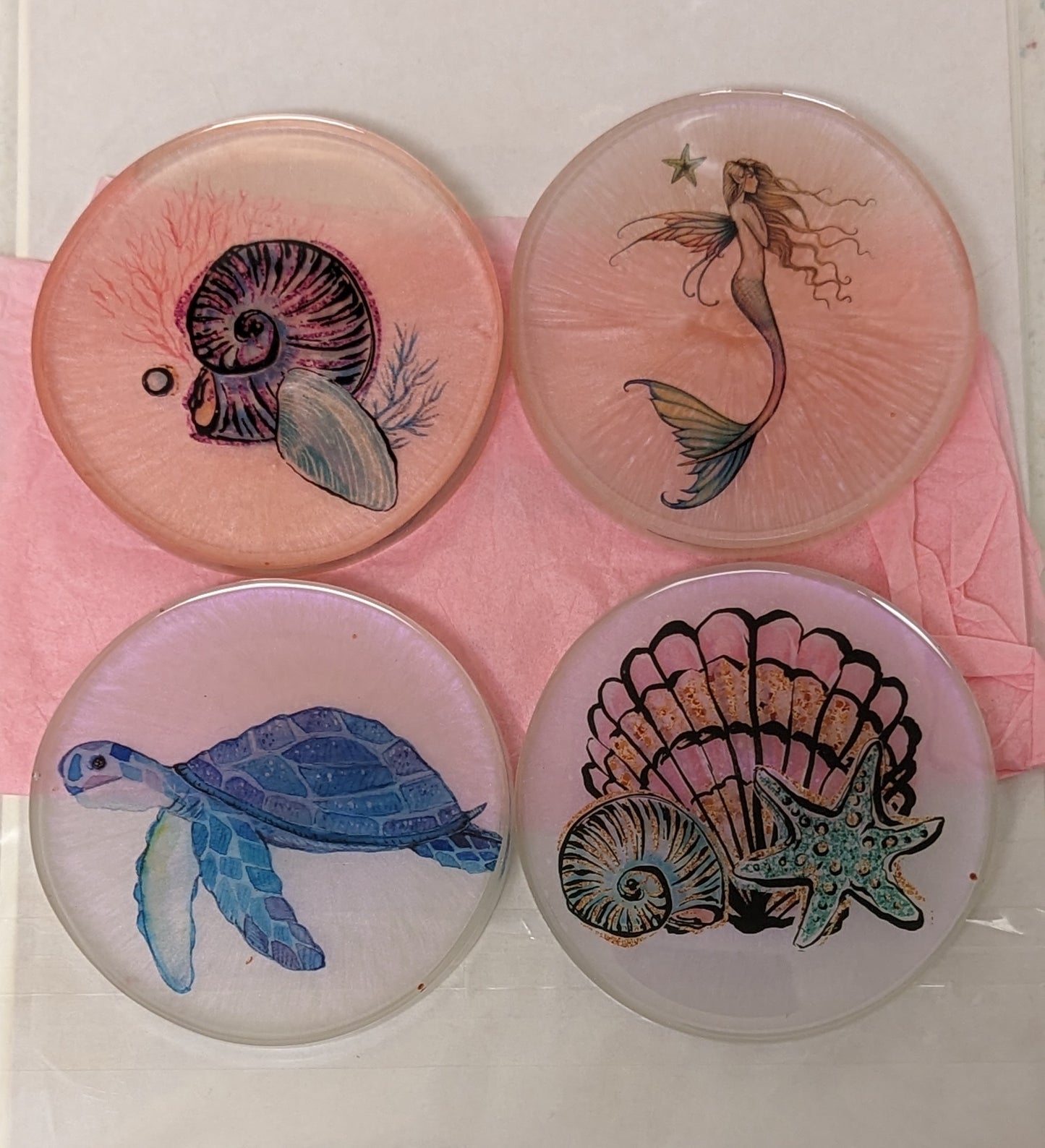 Seashell Round Coaster Set