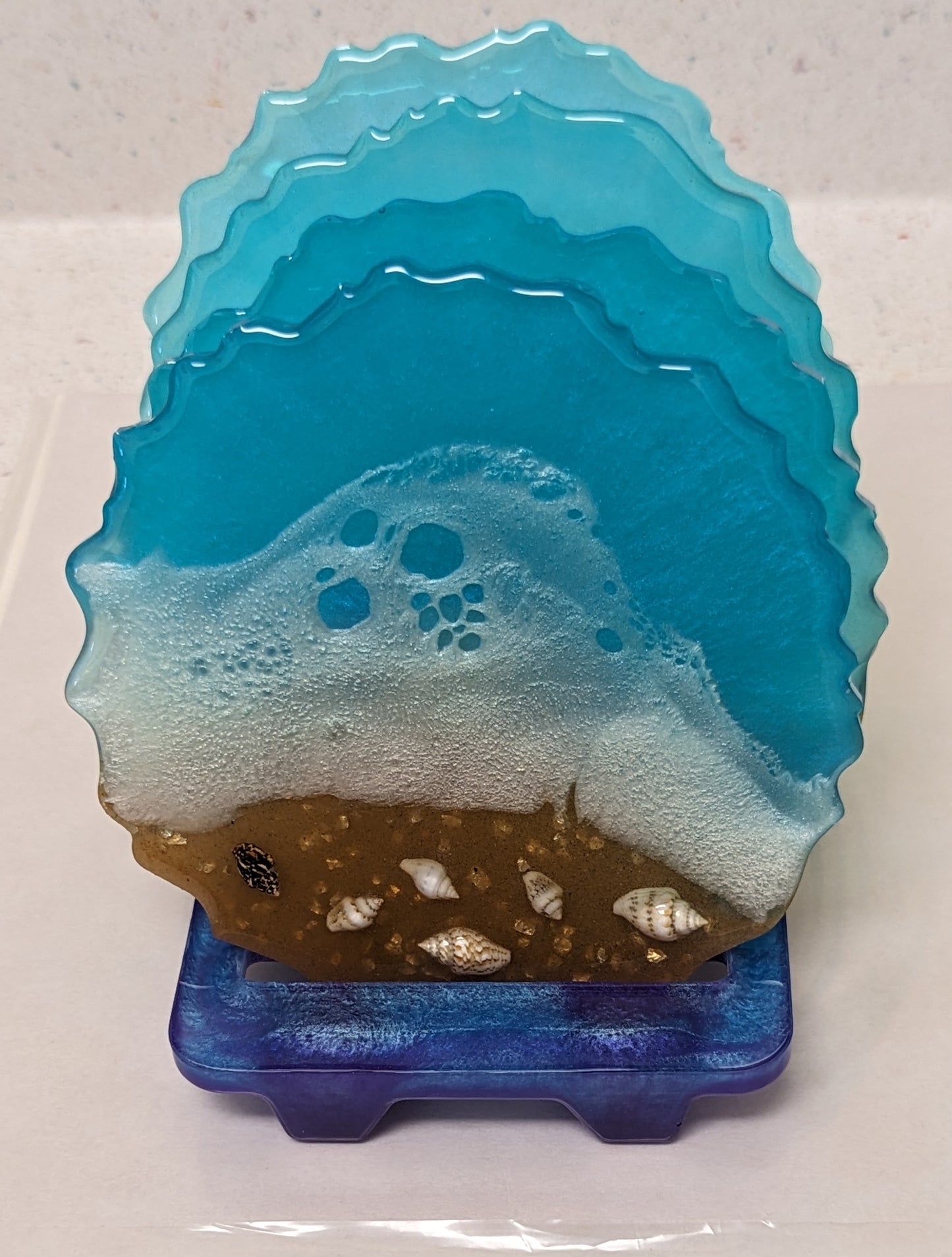 Seashell Coaster Set