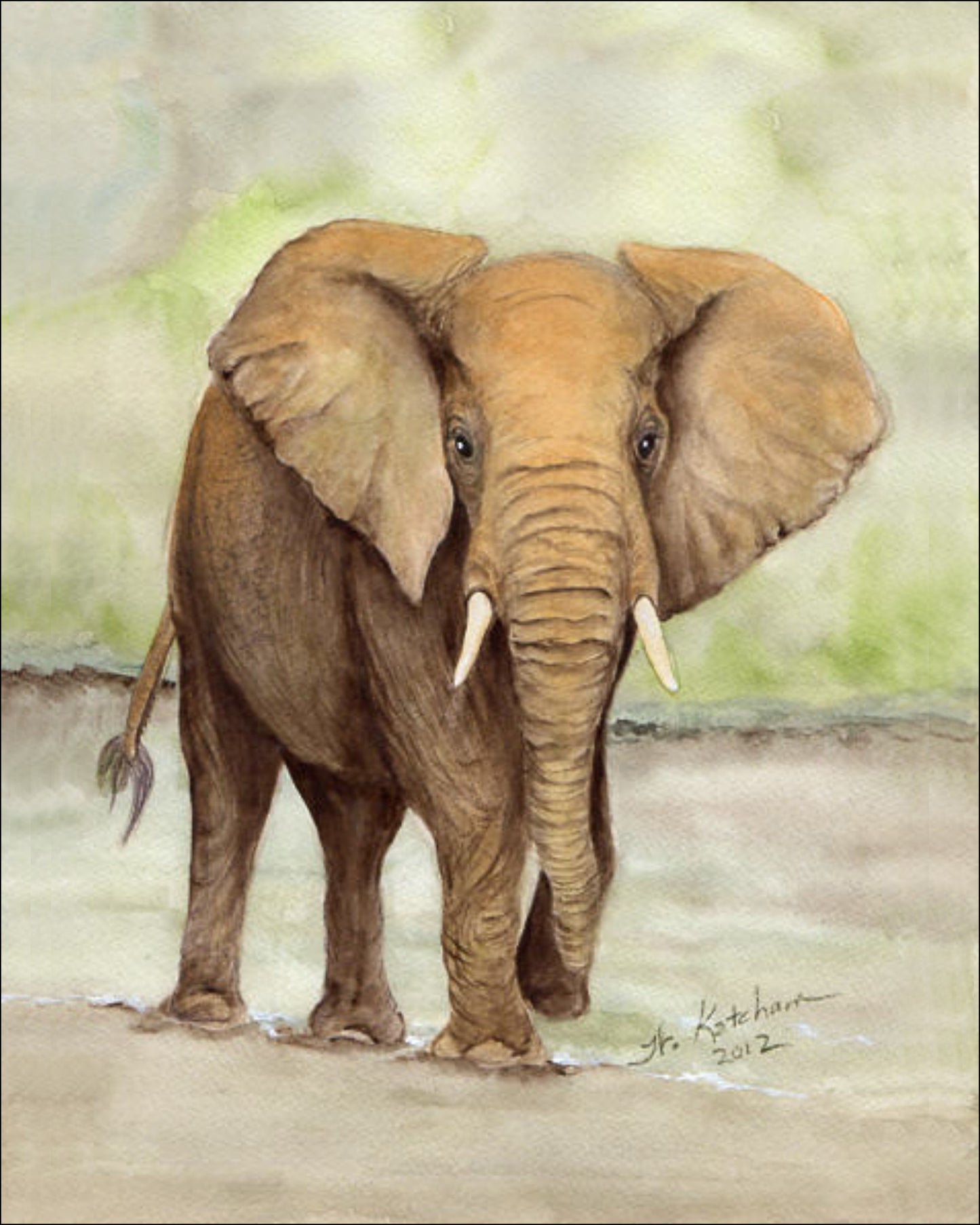 Elephant