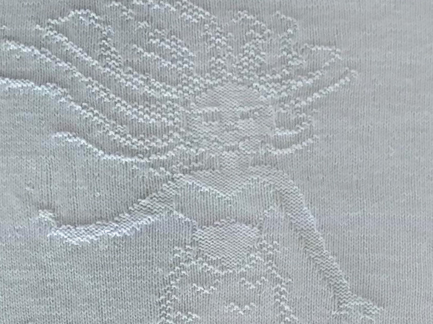 Mermaid in the Sea Baby Blanket (Knitting Pattern)