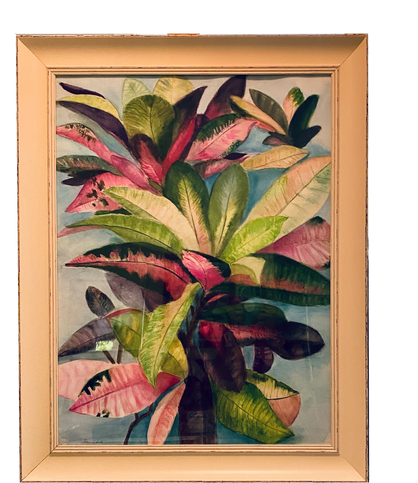 Leaves