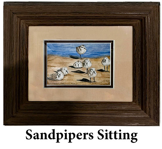 Sandpipers Sitting (framed)