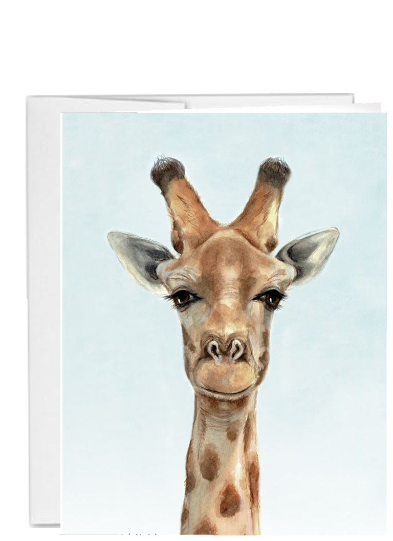 African animal giraffe