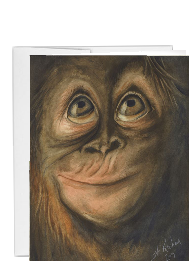 African animal gorilla