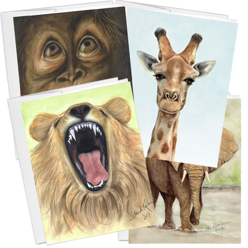 African animal collection