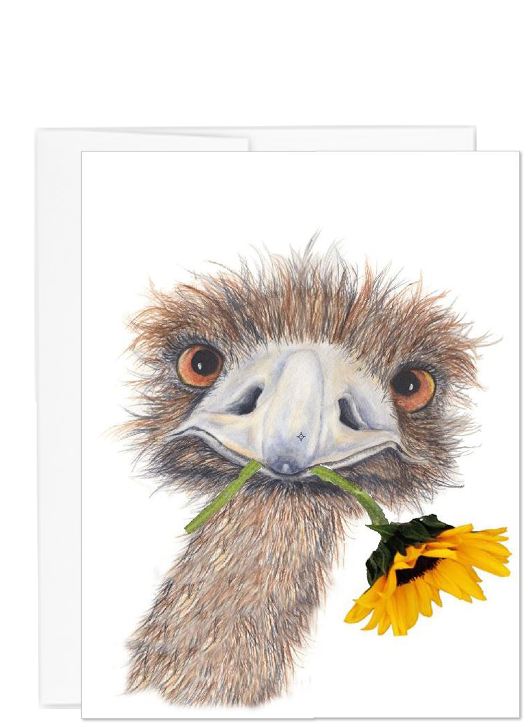 Ostrich collection Hello