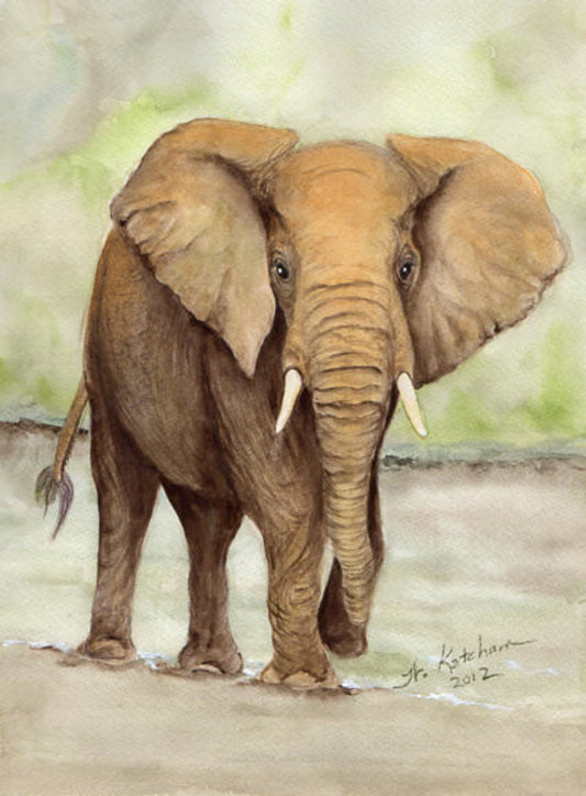 African Animal Print - Majestic Elephant