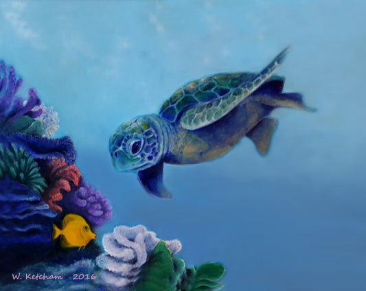 Sea Life Print - Exploring