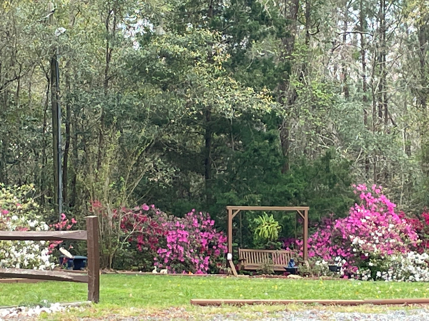 Garden Bench