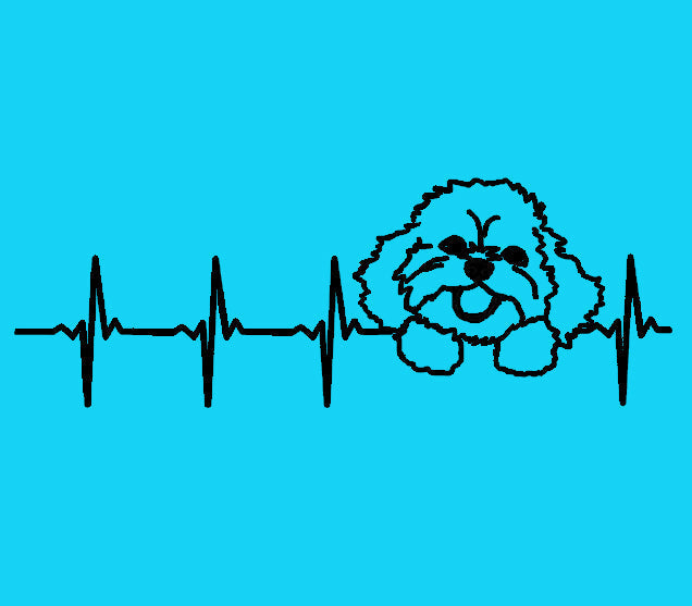 Bichon Heartbeat