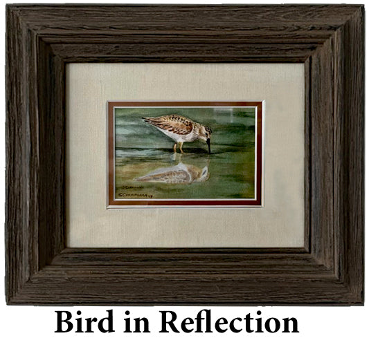 Bird in Reflection