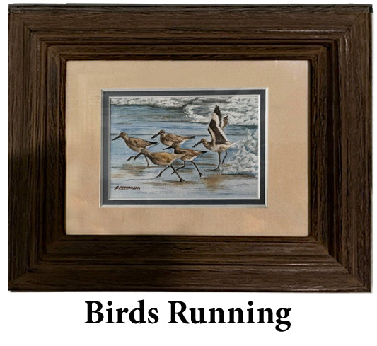Birds Running