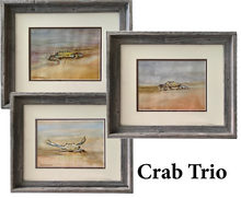 Load image into Gallery viewer, Crab Trio
