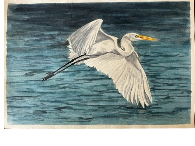 Egret Watercolor