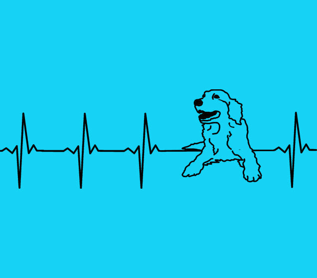 Retriever Heartbeat