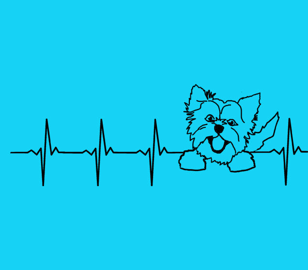 Yorkie Heartbeat