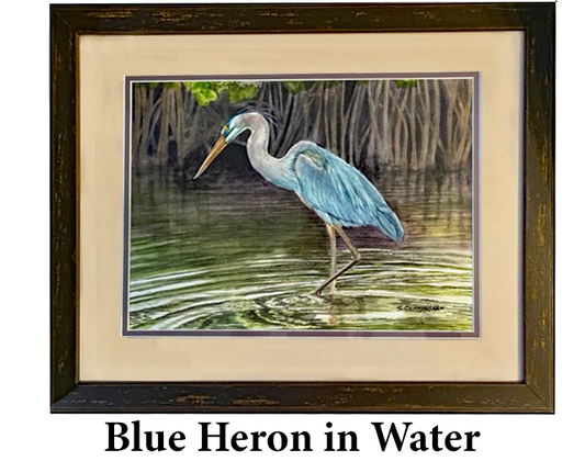 Blue Heron in Water