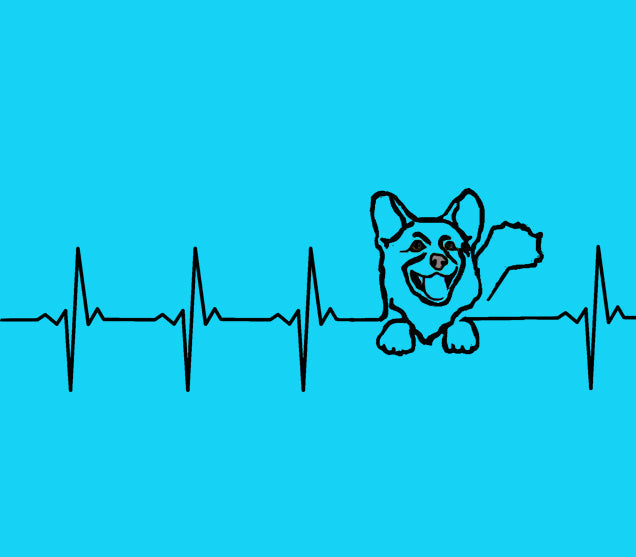 Corgi Heartbeat