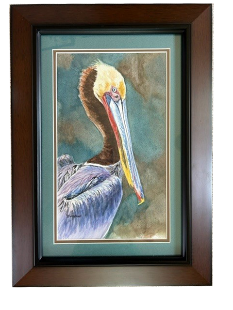 Pelican Watercolor  (Framed)