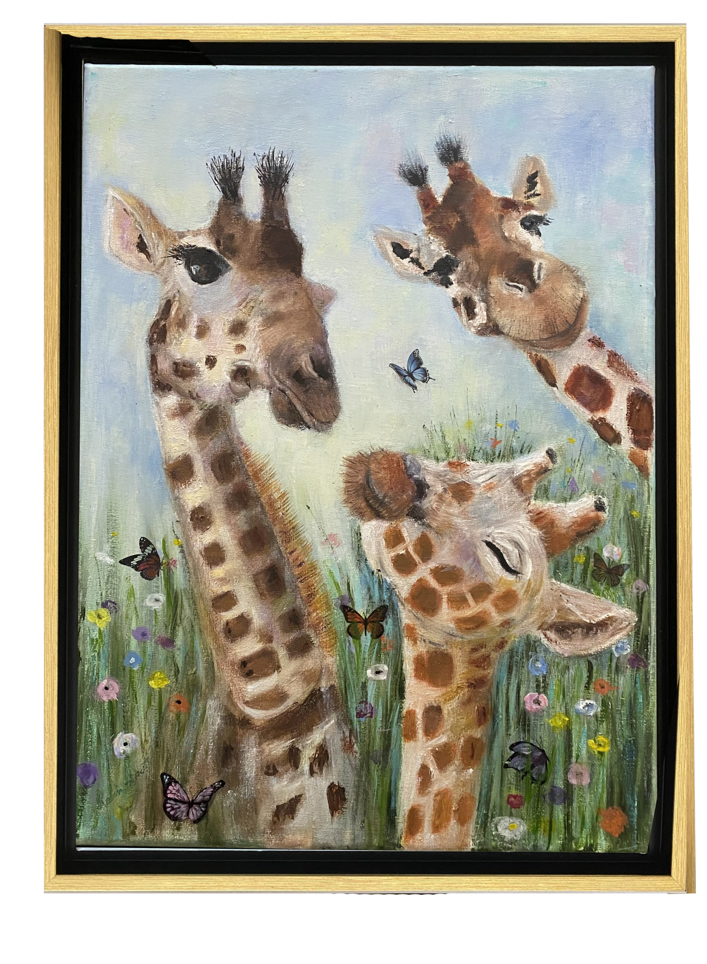 Giraffes