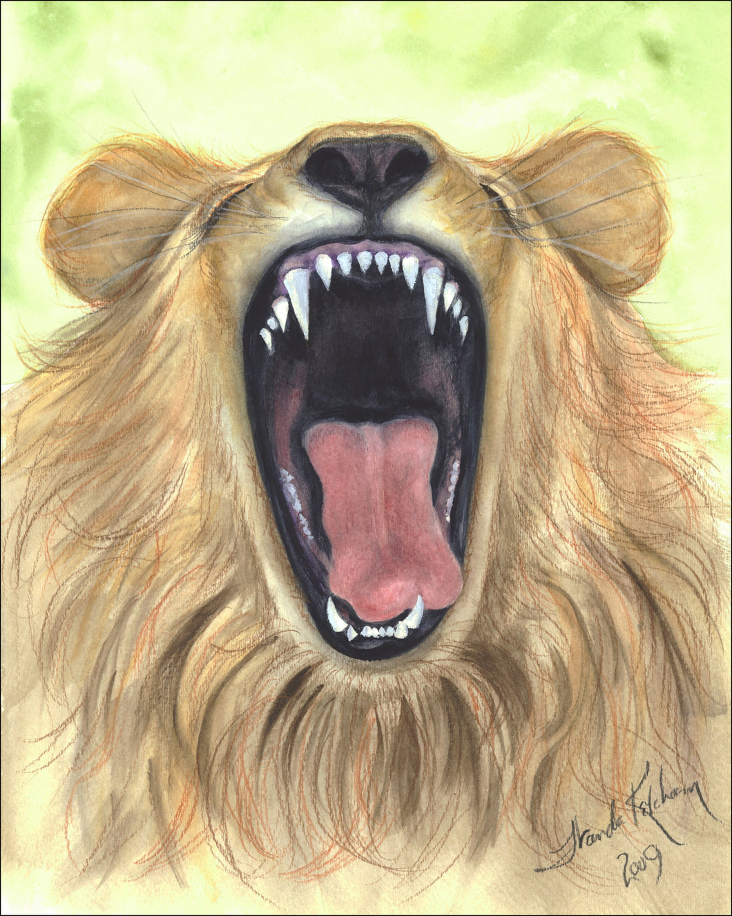 Yawning Lion