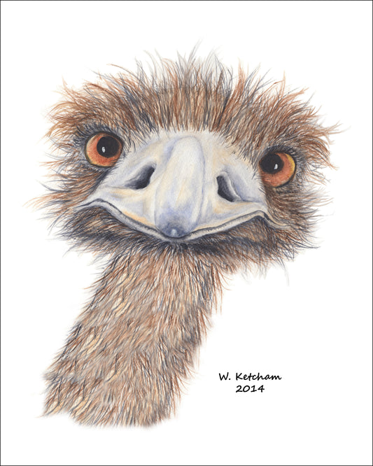 Ostrich with an attitude