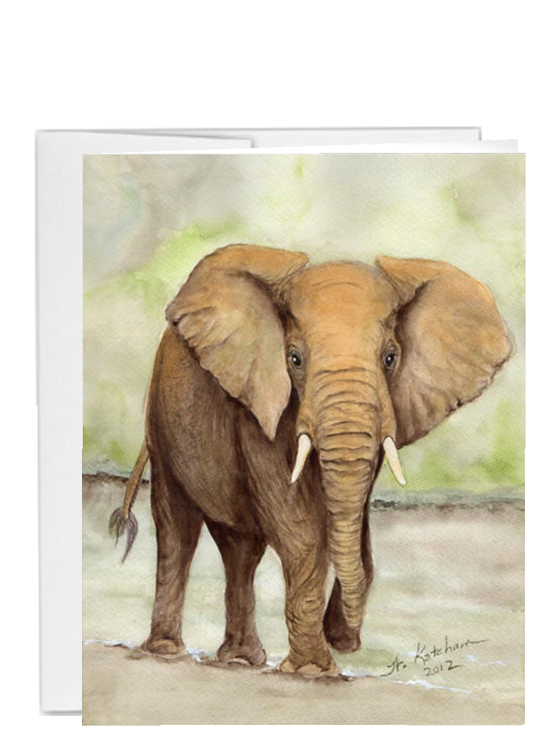 African animal elephant