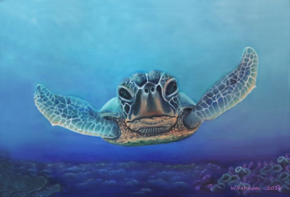 Sea Turtle Print - Deep Dive