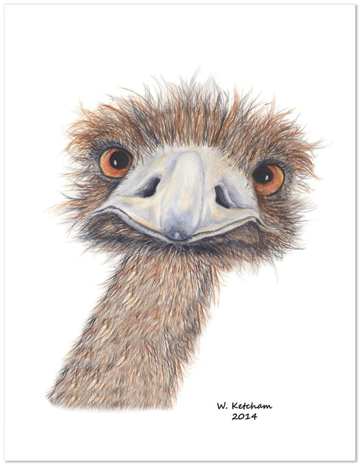 Peering ostrich watercolor print